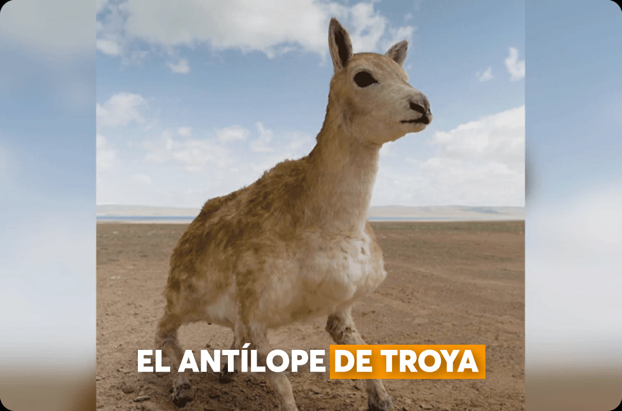 China lanza robot para espiar la naturaleza desde dentro - Bestmart