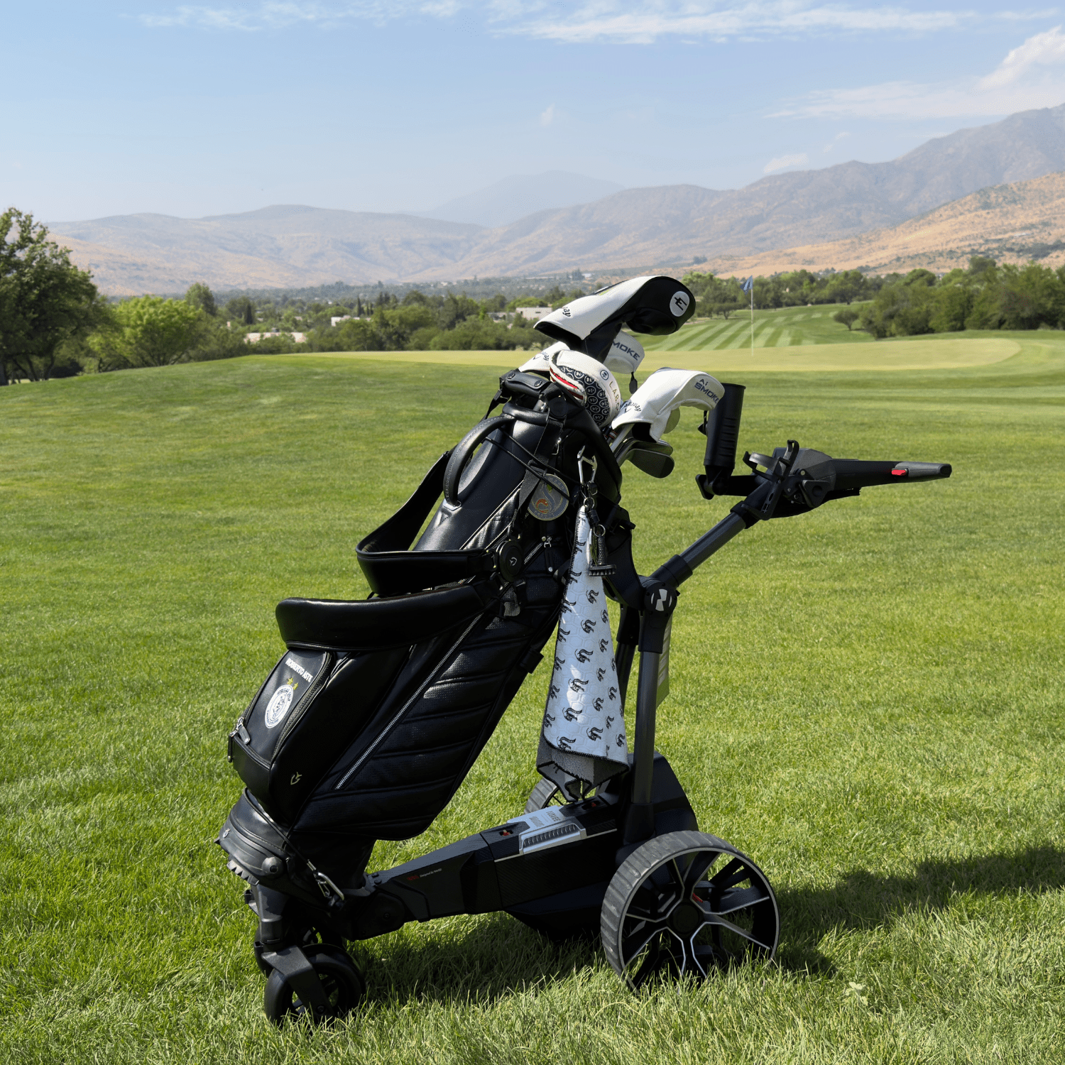Carrito de Golf Eléctrico Navee Birdie 3X Negro - Bestmart