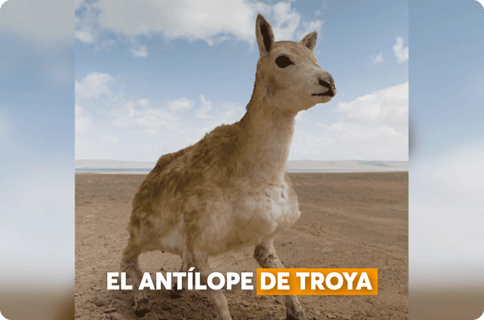 China lanza robot para espiar la naturaleza desde dentro - Bestmart