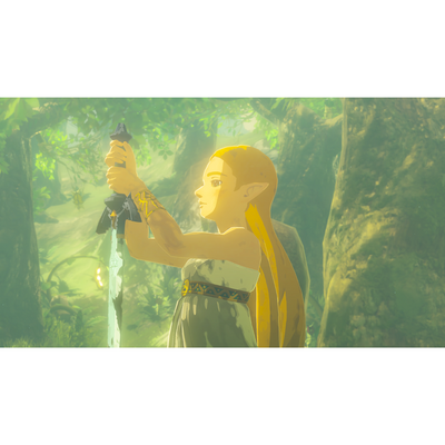 Juego The Legend of Zelda: Breath of the Wild Nintendo Switch 2