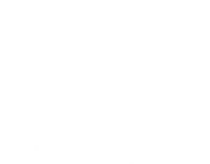 Logo Baseus