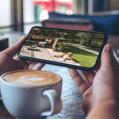 Cámaras de seguridad Blink Outdoor 4 - 3 Unidades - Modulo Sync 2 - Bestmart