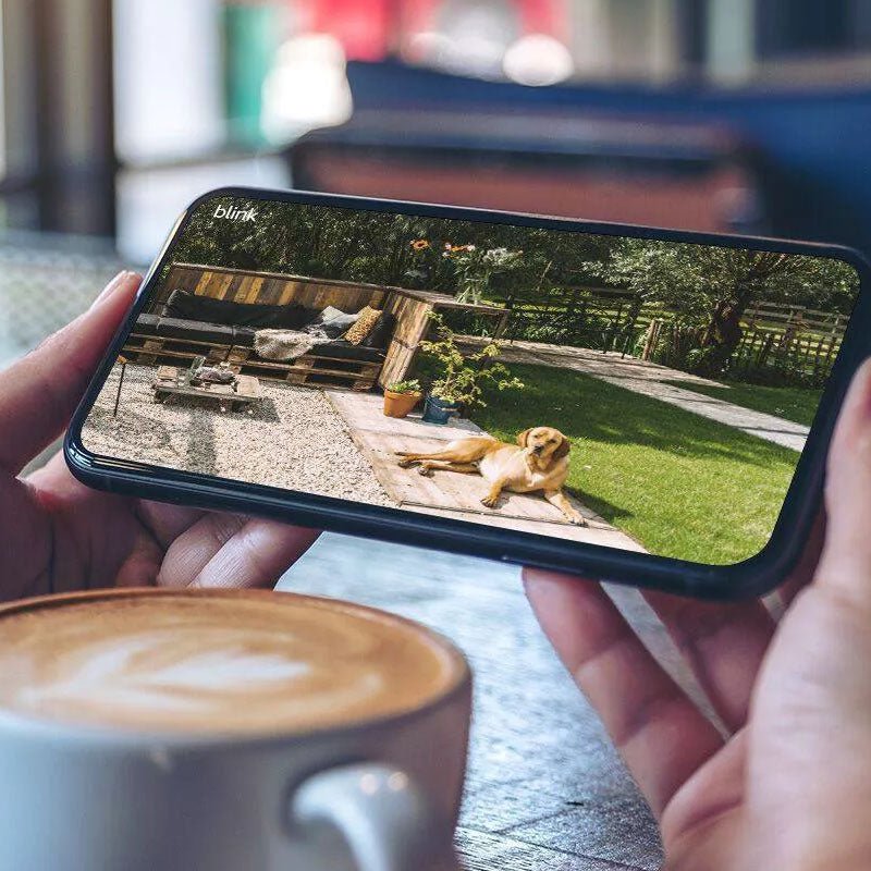 Cámaras de Seguridad Blink Outdoor 4 - 5 Unidades + Modulo Sync 2 - Bestmart