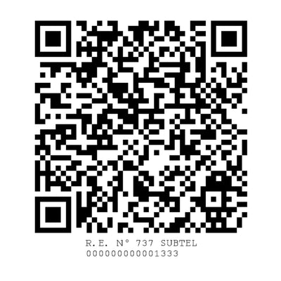 R.E. N° 737 SUBTEL - 00000000000001333