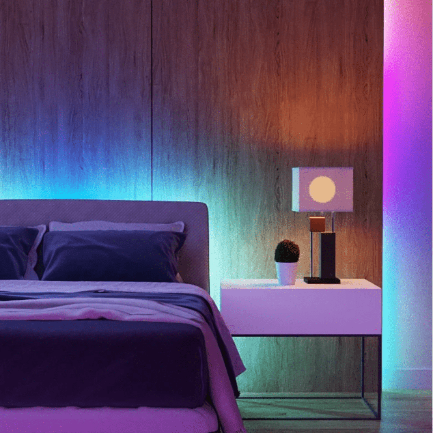 Tira de luces LED Govee RGBIC Basic Wi - Fi + Bluetooth - 5 metros - Bestmart