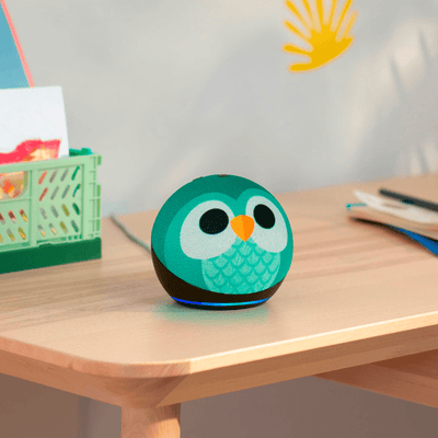 Amazon Alexa Echo Dot Kids 5 (2022) - Búho OPEN BOX - Bestmart