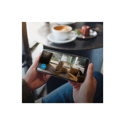 Blink Mini Indoor 1080p Wi - Fi Camara Seguridad (2 Pack) - Negro - Bestmart