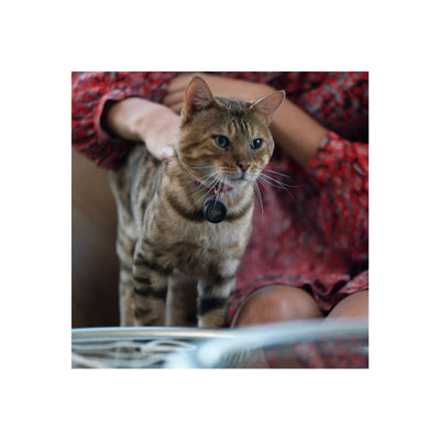 Localizador Bluetooth Tile Sticker (2022) - Negro - Bestmart