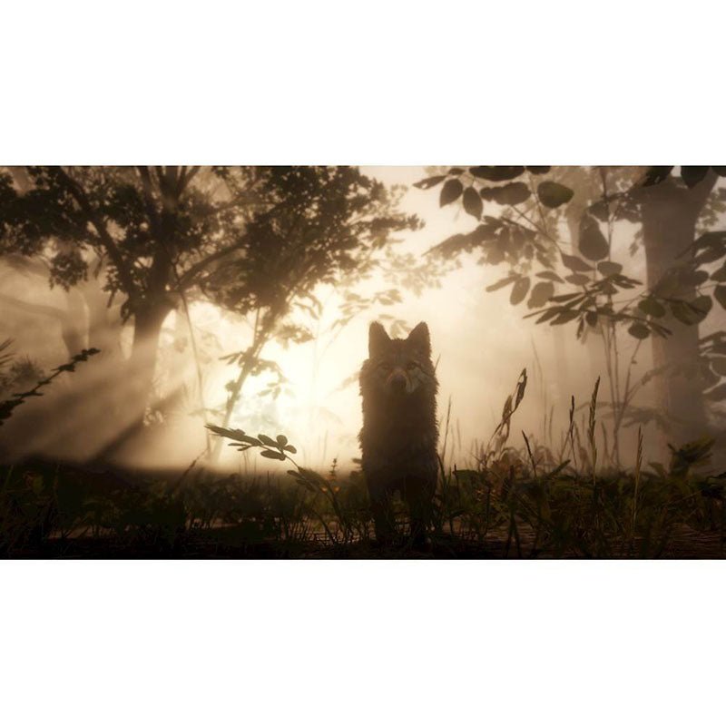 Red Dead Redemption 2 - PS4 - Bestmart