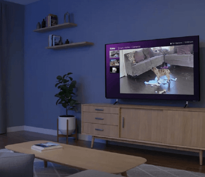 Roku Smart Home Camara de Seguridad Interior - Cableada - Pack de 2 - Modelo CS1000P2R - Bestmart